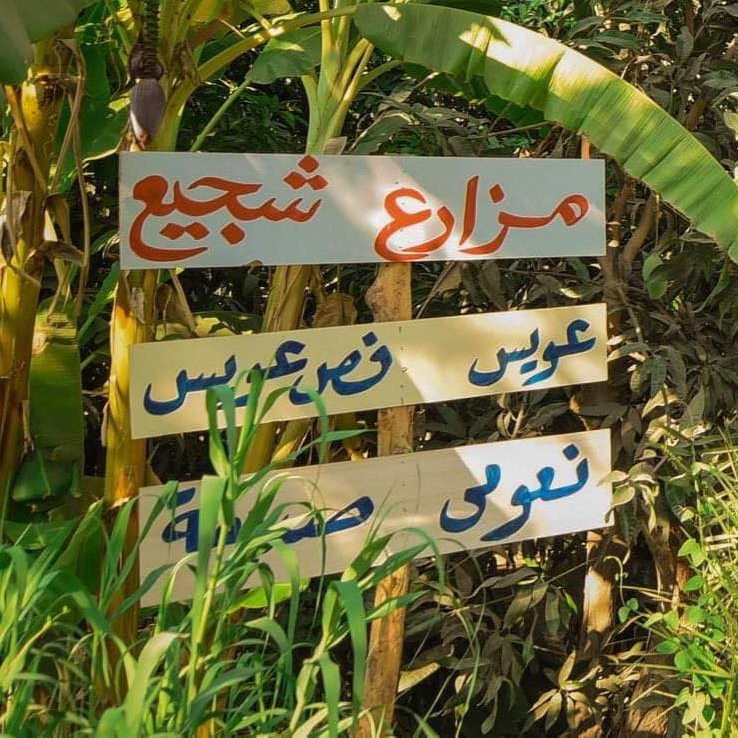 tour-listing-details-slide