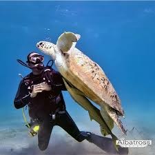 tour-listing-details-slide